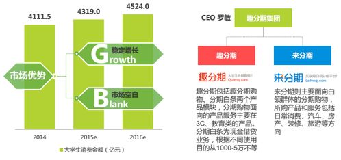 分期電商市場深度調研 現狀、機遇與挑戰